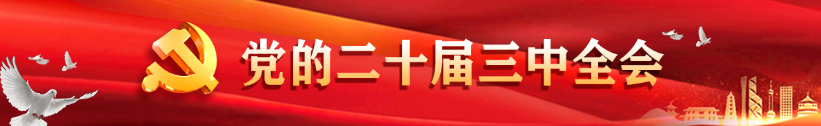 2024新澳门历史记录查询免费